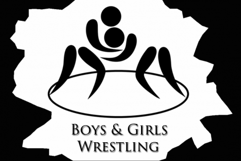 Wrestling Takes Districts