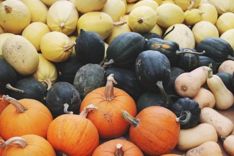 The flavors of fall